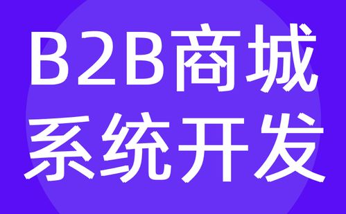 B2B商城系统开发 批发 电商平台定制公司 红匣子科技