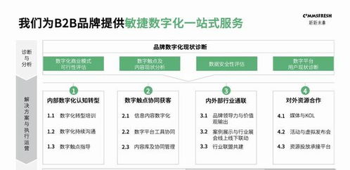 新新未来 b2b品牌敏捷数字化,小切口开启大时代