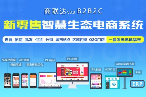 解析丨怎样判断国内多用户商城系统哪个好
